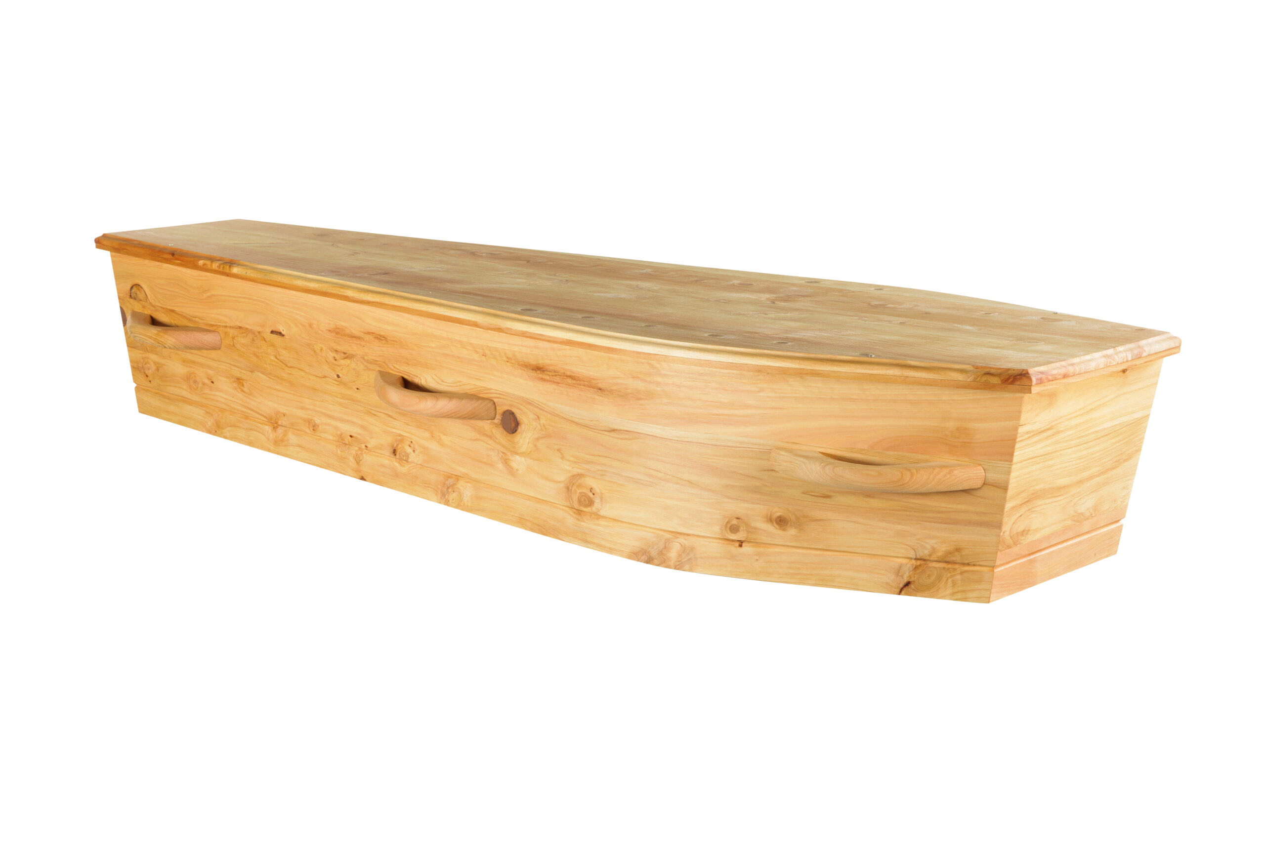 Dorset Macrocarpa